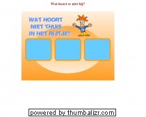 Wat hoort er niet bij?