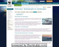 Walvissen Bedreigingen - Walvissen - Bedreigde dieren - Dieren en planten - Thema's - Wat WNF doet  - WNF.nl